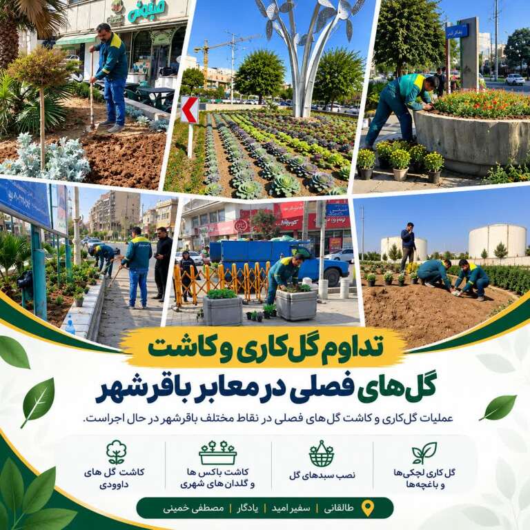 تداوم گل‌کاری و کاشت گل‌های فصلی در معابر باقرشهر