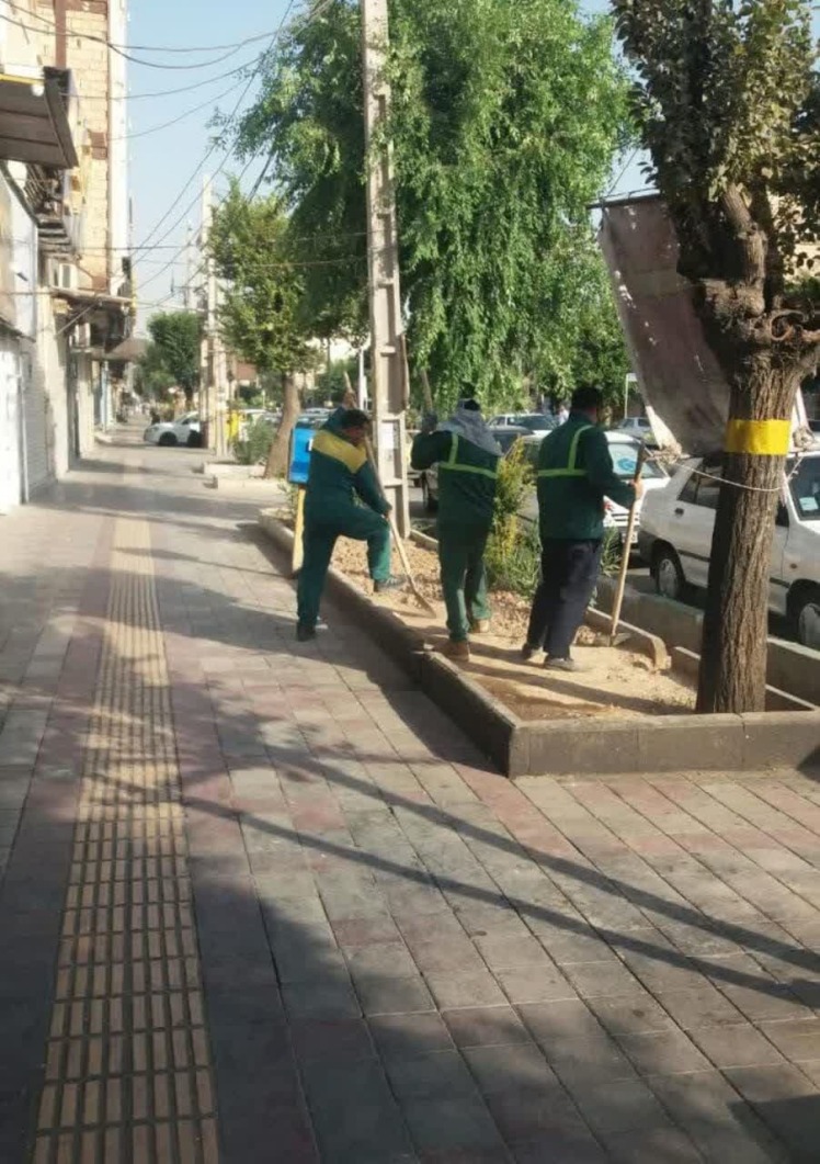 علفزنی، حذف پاجوش و تنه‌جوش باغچه‌ها