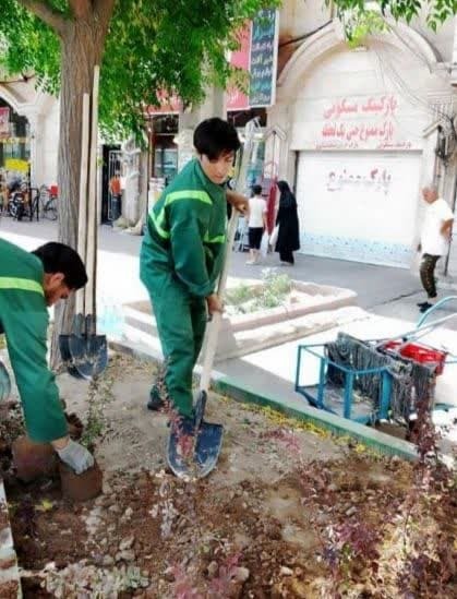 آغاز عملیات کاشت و ساماندهی باغچه‌های اطراف میدان شهدا