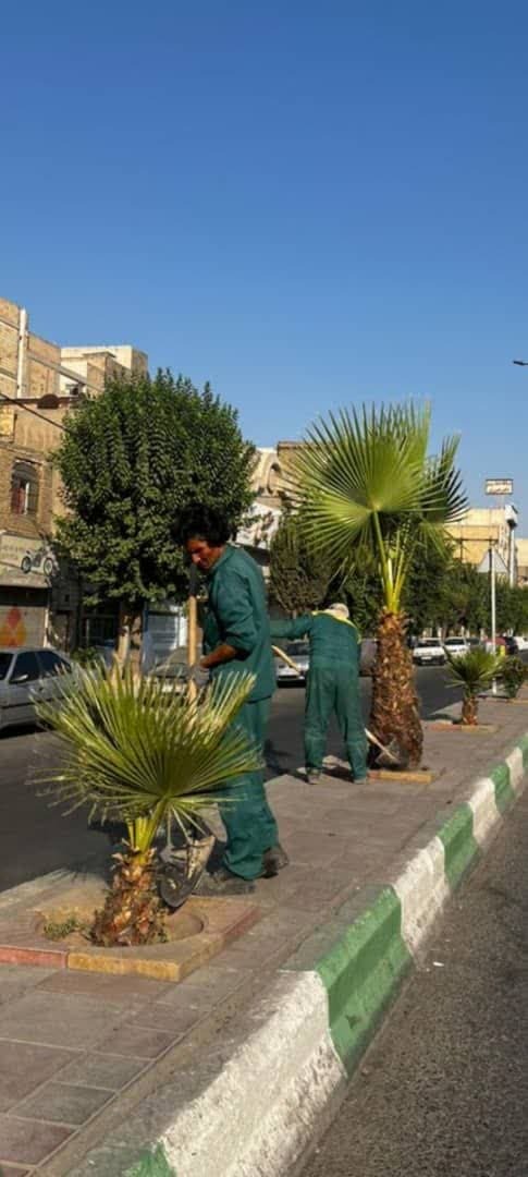 رسیدگی به فضای سبز و باغچه‌های سطح شهر